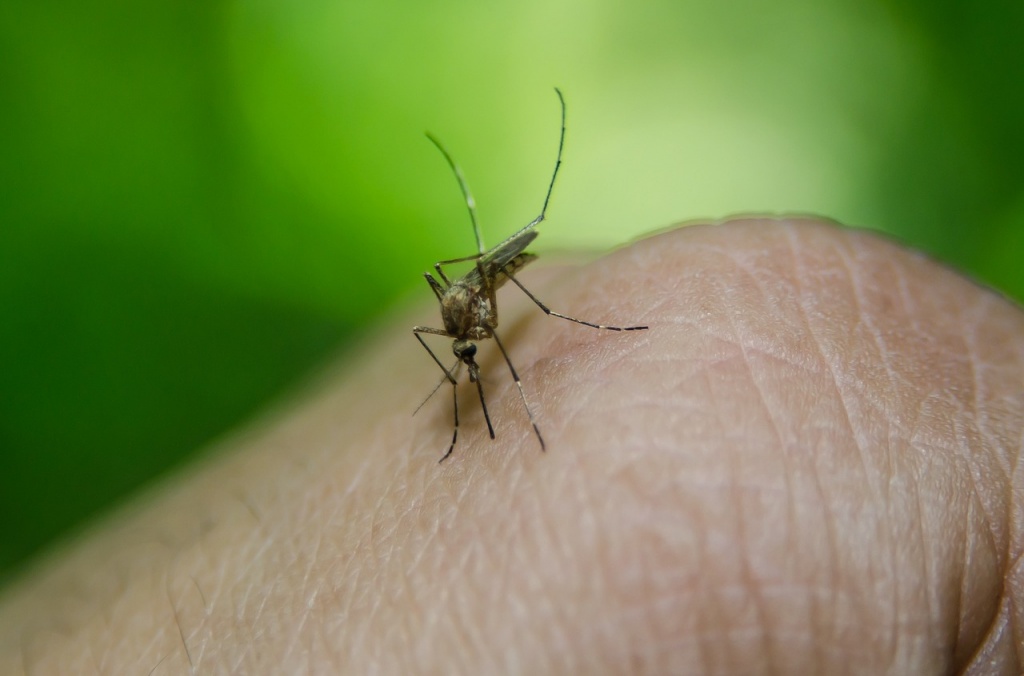 Средства защиты от комаров